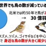 Thumbnail of post image 044