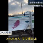 Thumbnail of new posts 179