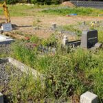 Thumbnail of new posts 048