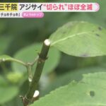 Thumbnail of related posts 024