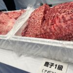 Thumbnail of related posts 109