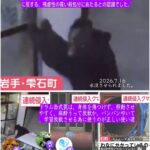 Thumbnail of new posts 011