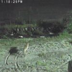 Thumbnail of related posts 150