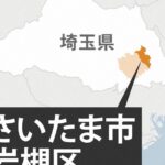 Thumbnail of new posts 173