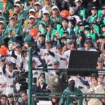 Thumbnail of related posts 134