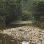 Thumbnail of related posts 027