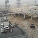 Thumbnail of post image 025