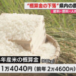 Thumbnail of post image 004