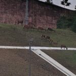 Thumbnail of post image 092