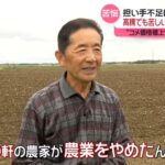 Thumbnail of new posts 062